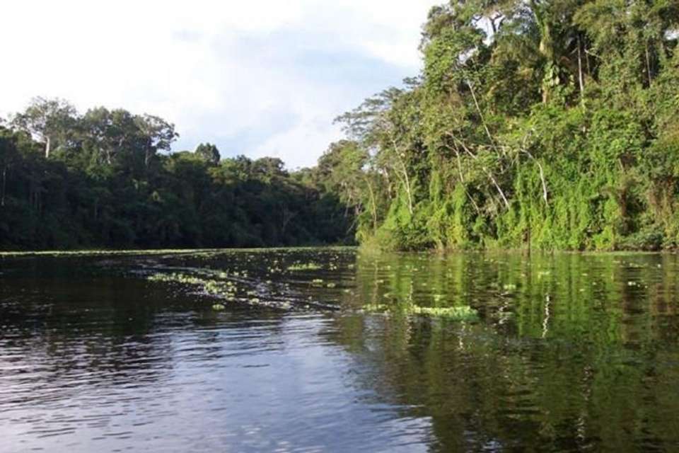 4-Day Trip to Pacaya Samiria Amazon Lodge - Tangol Tours - Peru - Image 4