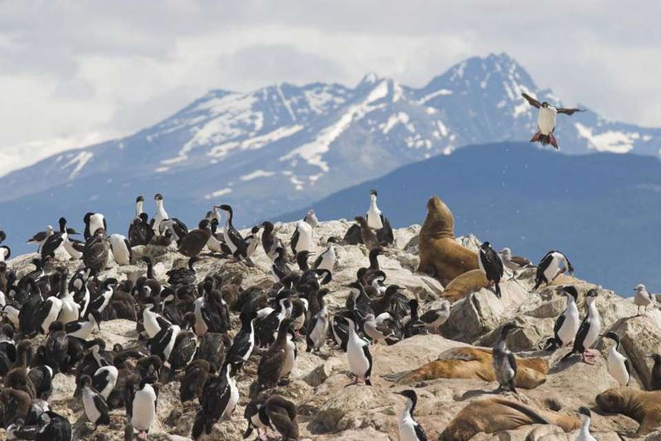 4-Day Ushuaia Luxury Tour - Tangol Tours - Chile - Image 4
