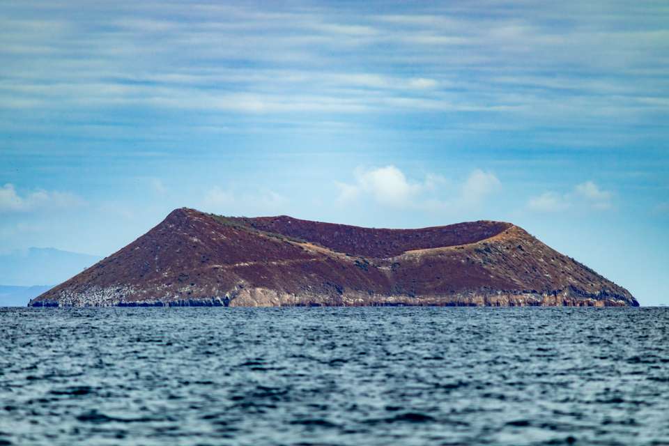 4-day Wildlife & Wonders Of Galapagos - Destination Services - Ecuador - Image 5