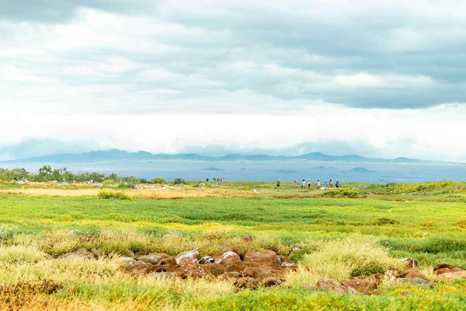 4-day Wildlife & Wonders Of Galapagos - Destination Services - Ecuador - Image 6