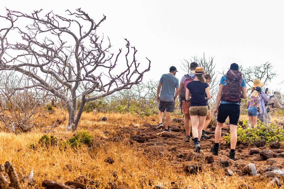 4-day Wildlife & Wonders Of Galapagos - Destination Services - Ecuador - Image 11