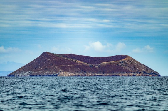 Image 5 of 15