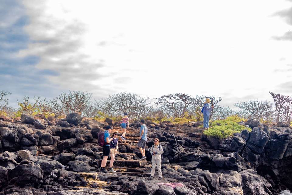 4-day Wildlife & Wonders Of Galapagos, French-speaking Guide - Destination Services - Ecuador - Image 13