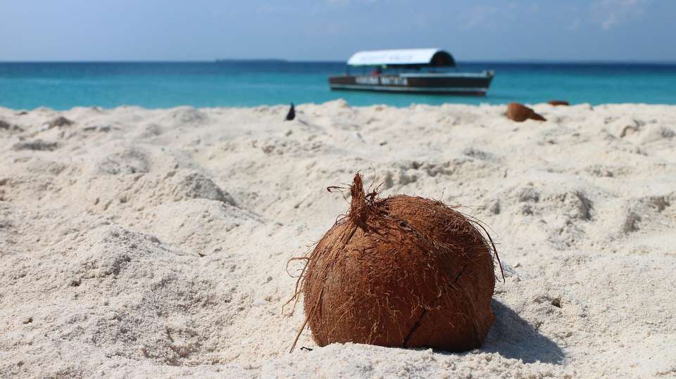 4-Day Zanzibar Beach and Stone Town Tour - Gosheni Safaris Africa - Tanzania - Image 5