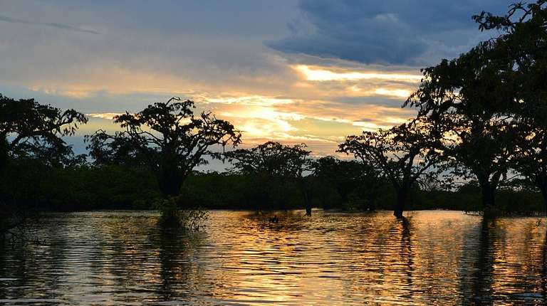 Ecuador Rainforest and jungle visits Tour: 4 Days Amazon Lodge Cuyabeno Reserve