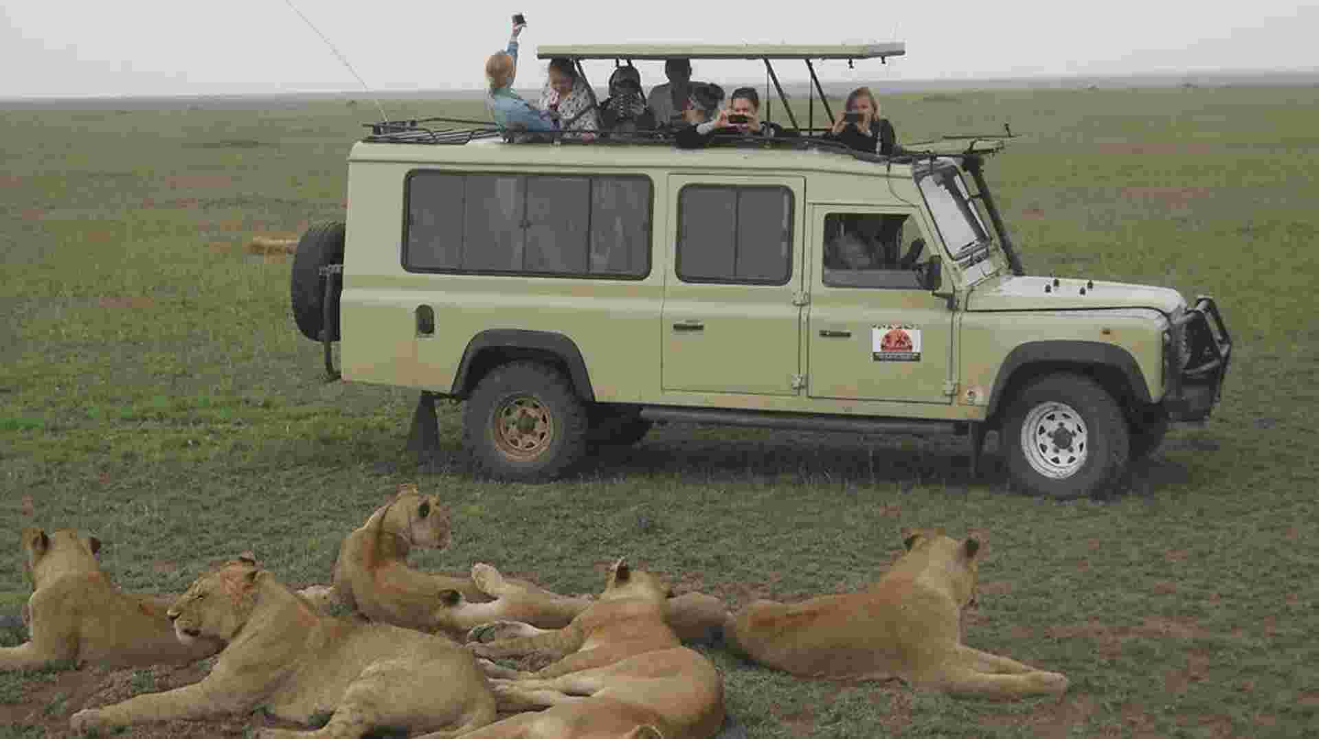 4 Days  budget  Camping Safari-Tarangire/Serengeti/Crater