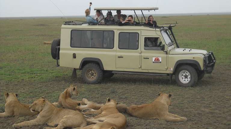 4 Days  budget  Camping Safari-Tarangire/Serengeti/Crater - 4 days