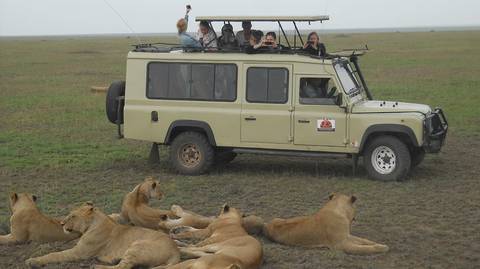 4 Days Budget Camping Safari-tarangire/serengeti/crater - 4 Days