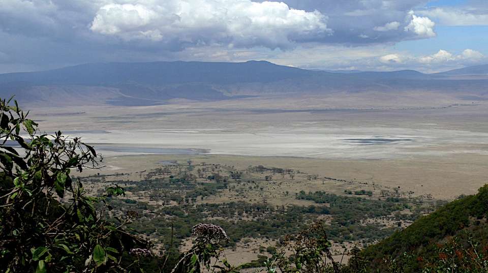 4 Days  budget  Camping Safari-Tarangire/Serengeti/Crater - Kanuth Adventures Safari - Tanzania - Image 4