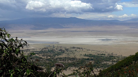 Image 4 of 7