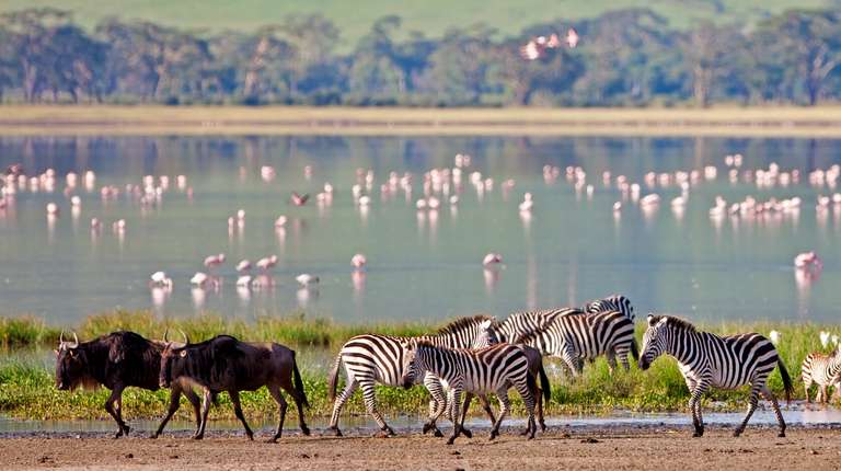 4 Days Budget Safari - Tarangire, Serengeti & Ngorongoro trip - alternative tour available