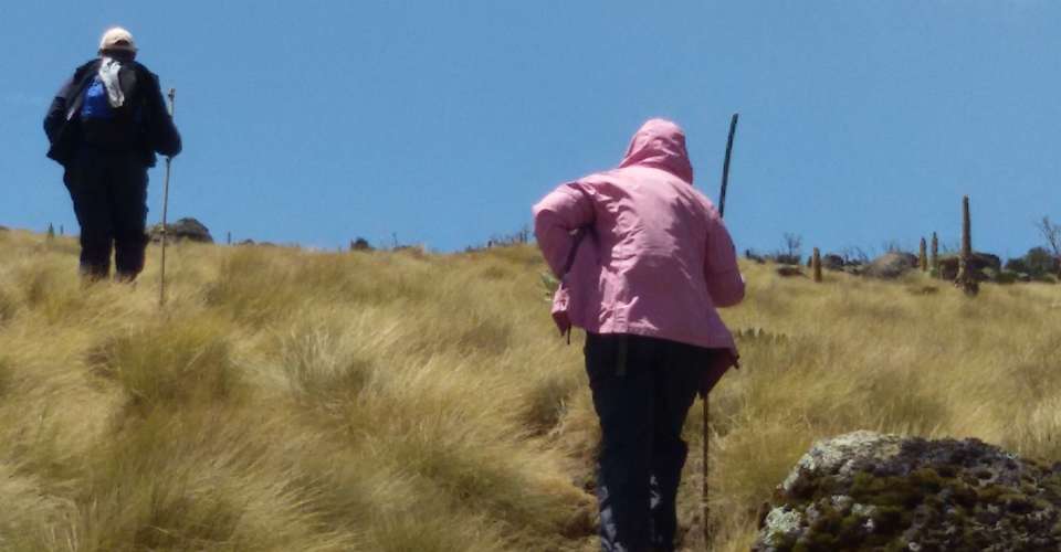 4 Days Mt. Kenya Sirimon Route and Down Sirimon - Arch Treks And Safaris - Kenya - Image 5