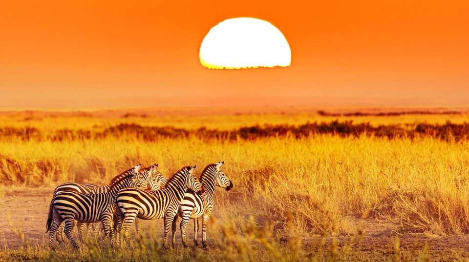 4 Days Northern Circuit - Agama Tours And Safaris - Tanzania - Image 1