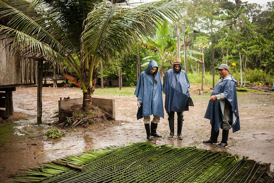 4 Days Peruvian Amazon Cruise - Destination Services - Peru - Image 11