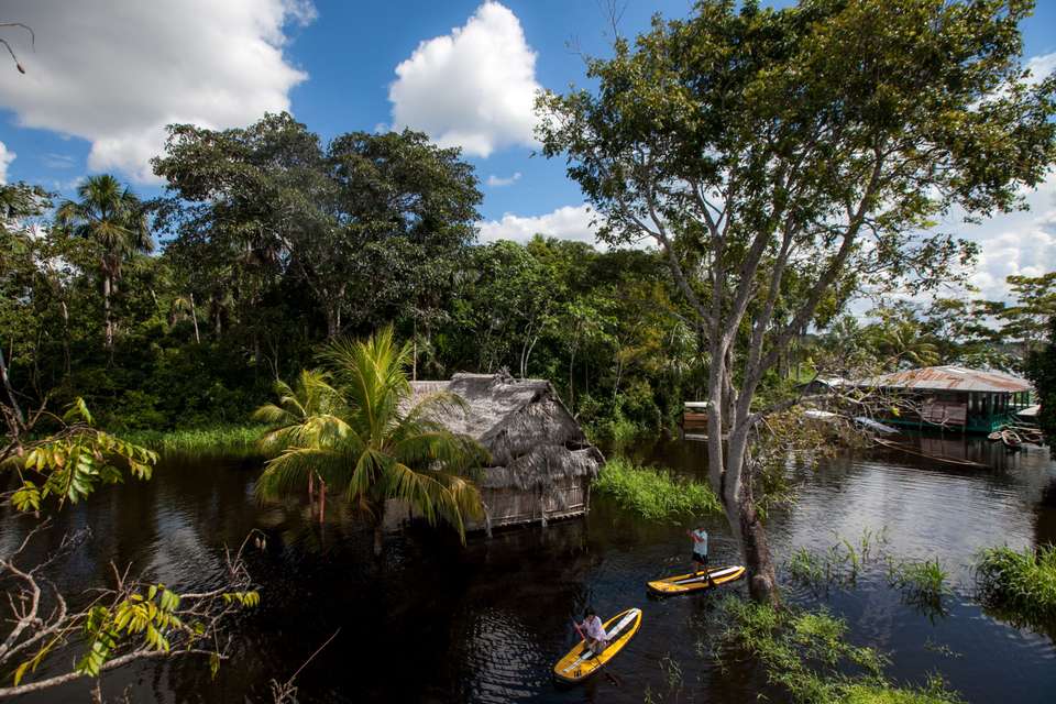 4 Days Peruvian Amazon Cruise - Destination Services - Peru - Image 12