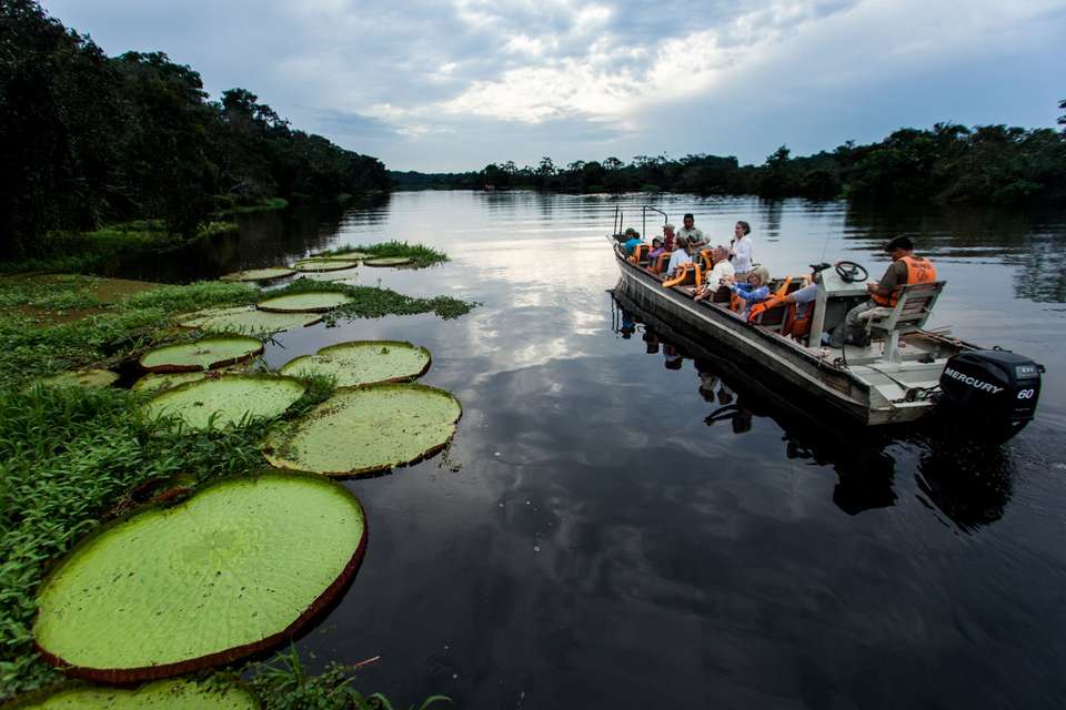 4 Days Peruvian Amazon Cruise - Destination Services - Peru - Image 14