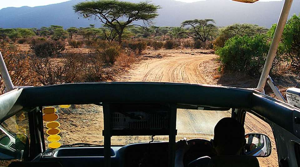 4 Days Serengeti Wildlife Migration Budget Tour - Visit Tanzania Tours & Safaris - Tanzania - Image 4