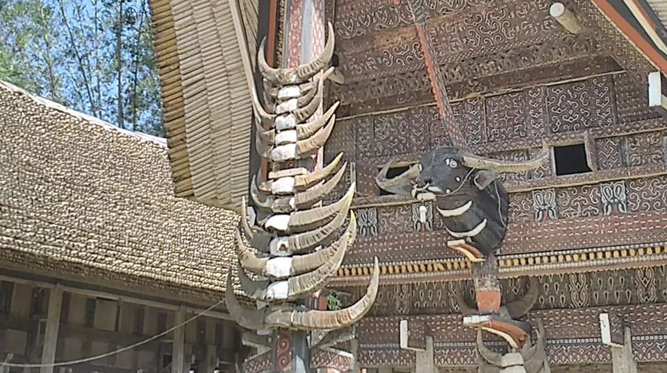 4D Toraja Highland Tour - Adventure Indonesia - Indonesia - Image 6