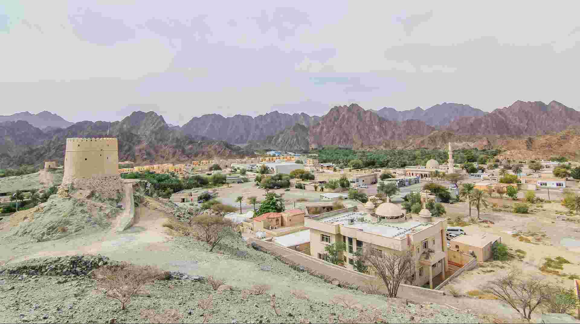 4x4 Hatta Safari to Fossil Rock & Honey Bee Garden visit 