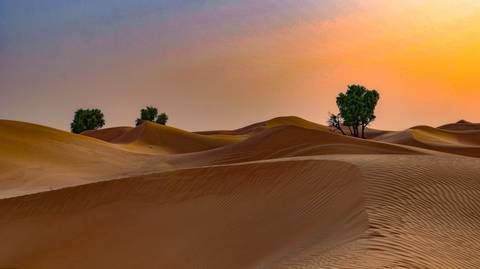 4x4 Sunrise Desert Drive With Wildlife Experience - December 2025