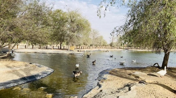 Image 5 of 11