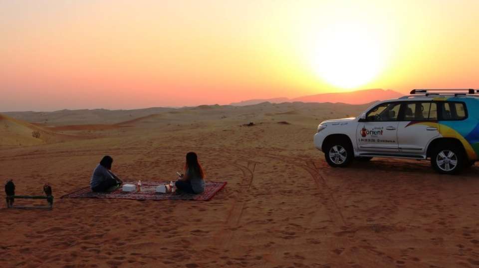4x4 Sunrise Desert Drive with Wildlife Experience - undefined - Image 11