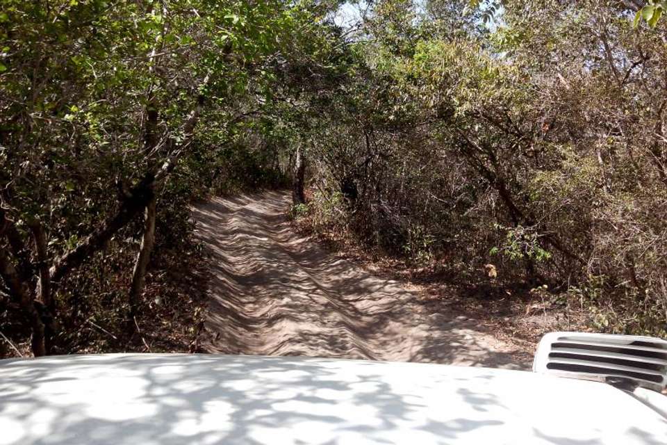 4X4 Tour To Canto De Atins - Tangol Tours - Brazil - Image 3