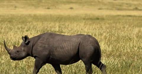 5 Camping Lake Manyara Serengeti Ngorongoro Group Joining