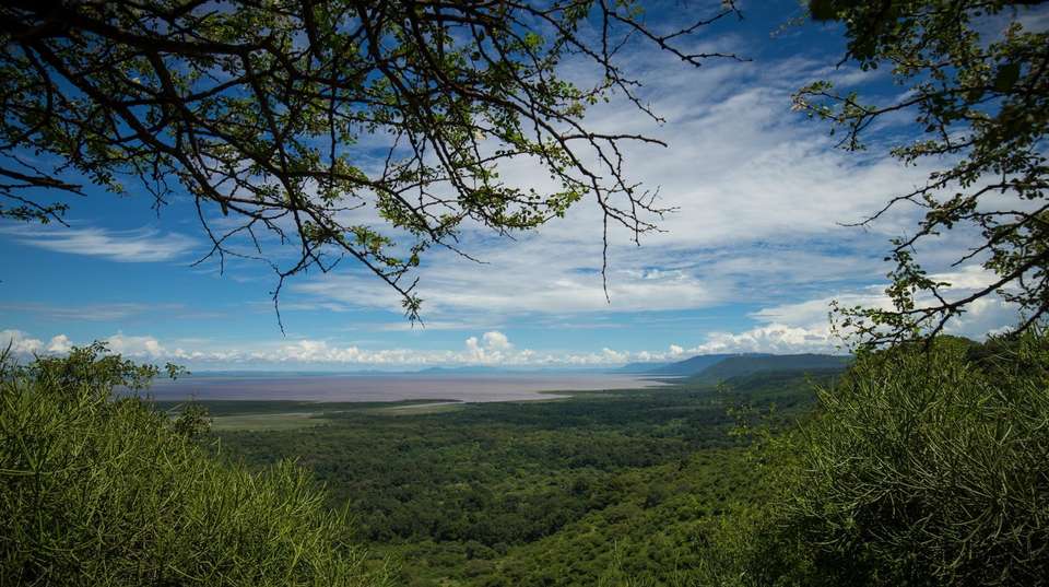 5-Day Affordable Safari Adventure in Tanzania  - Gosheni Safaris Africa - Tanzania - Image 2