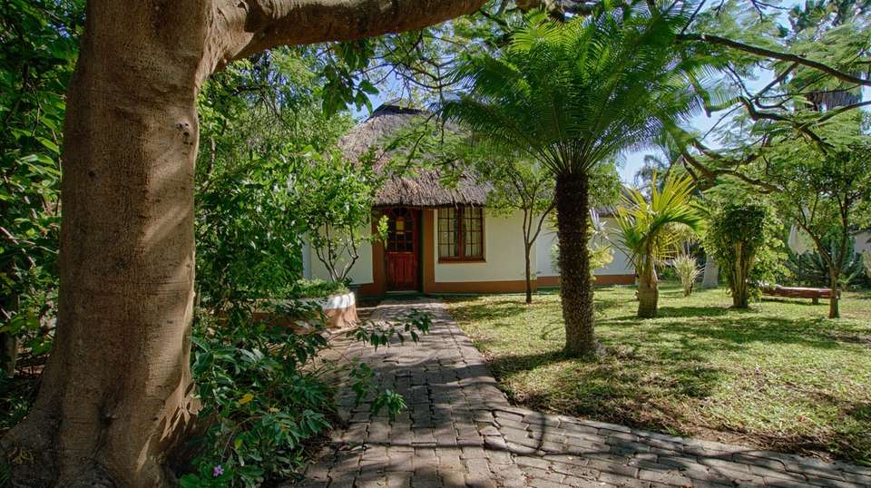 5 Day Classic Kruger Park Safari - undefined - Image 10
