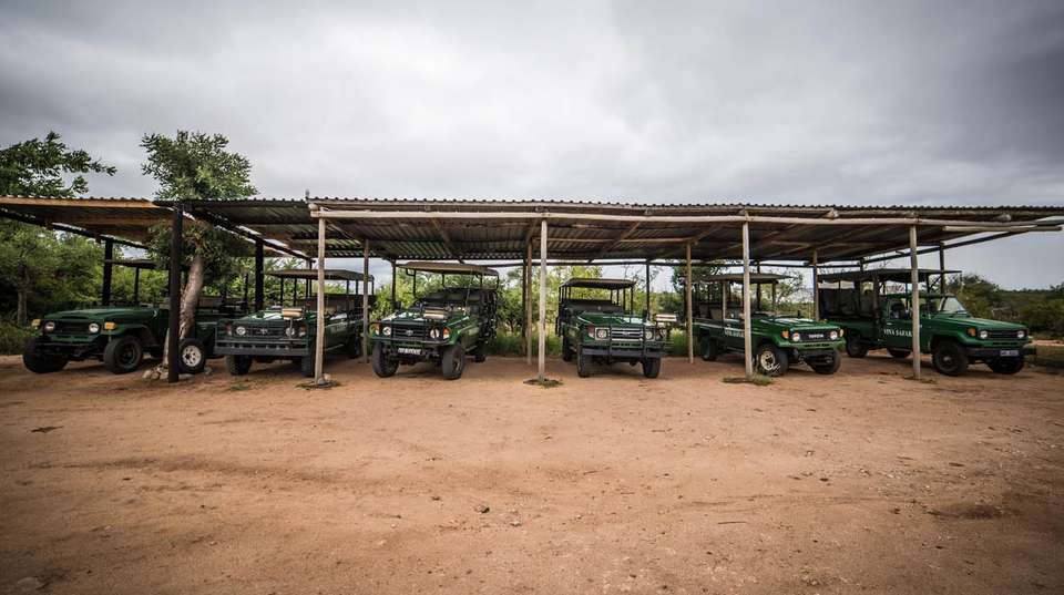 5 Day Classic Kruger Park Safari - undefined - Image 13