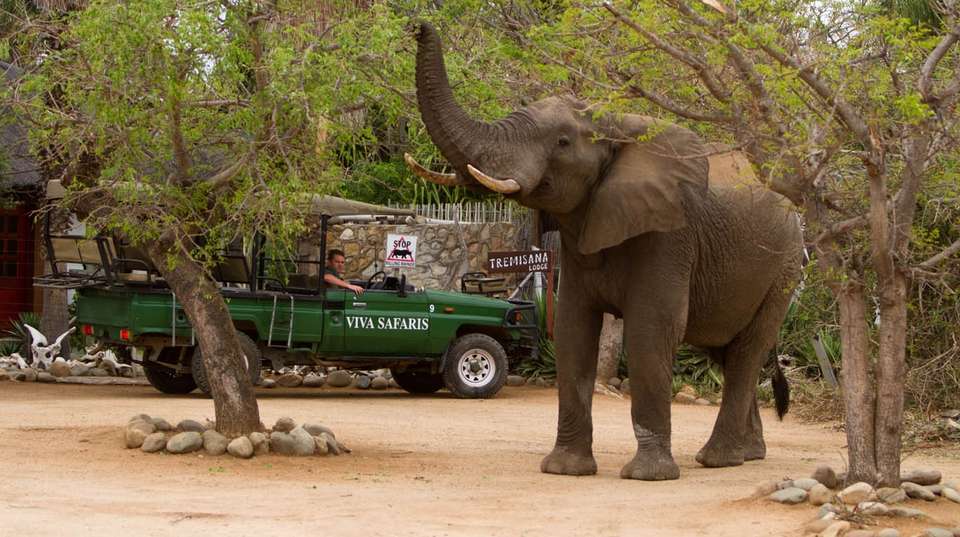 5 Day Classic Kruger Park Safari - undefined - Image 2