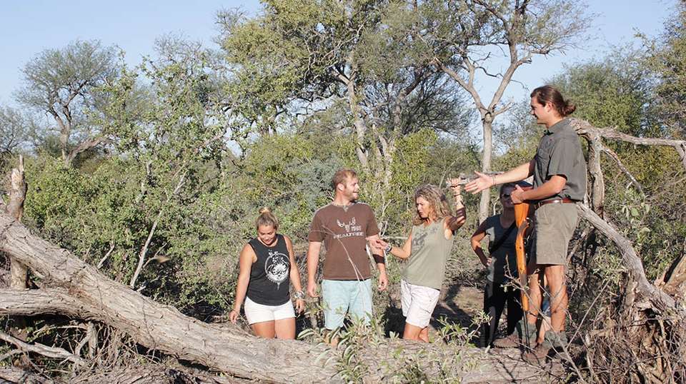 5 Day Classic Kruger Park Safari - undefined - Image 5
