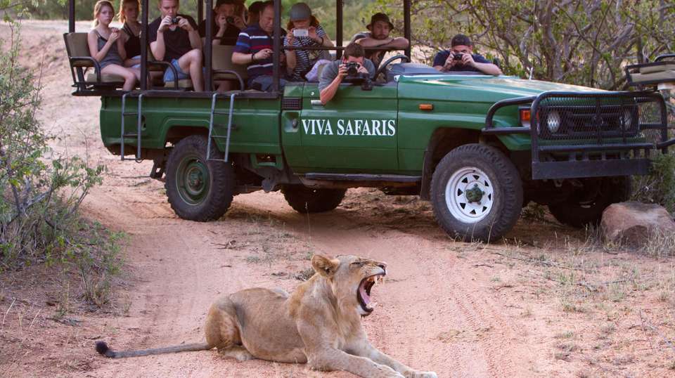 5 Day Classic Kruger Park Safari - undefined - Image 4