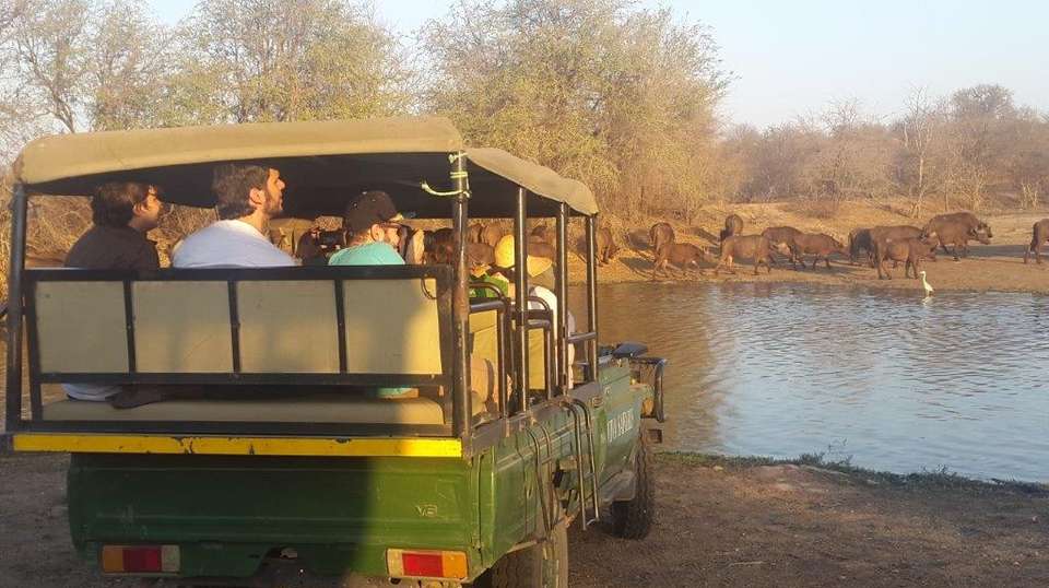 5 Day Classic Kruger Park Safari - undefined - Image 3
