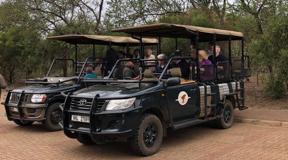 5 Day Epic Kruger Park Safari - Endless Summer Tours - South Africa - Image 3