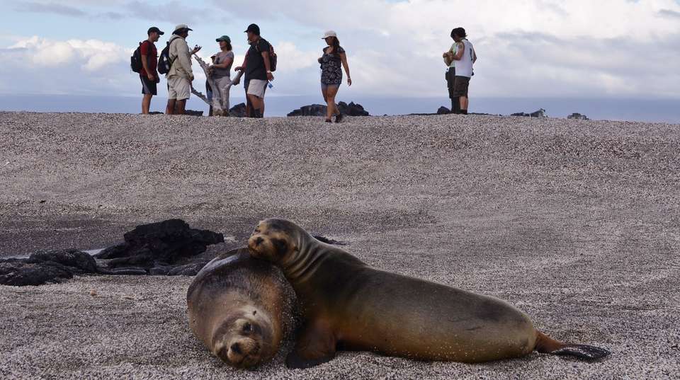 5-Day Galapagos Land-based Tour: Santa Cruz & Isabela - Latin Adventures - Ecuador - Image 2