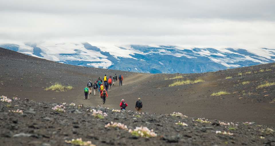 5-Day Laugavegur Trek in Huts - Icelandic Mountain Guides - Iceland - Image 5