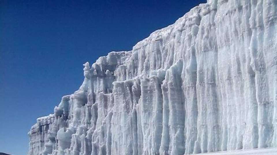 5 Day Marangu Route Kilimanjaro Trek  - African Love Birds Adventure Ltd - Tanzania - Image 2