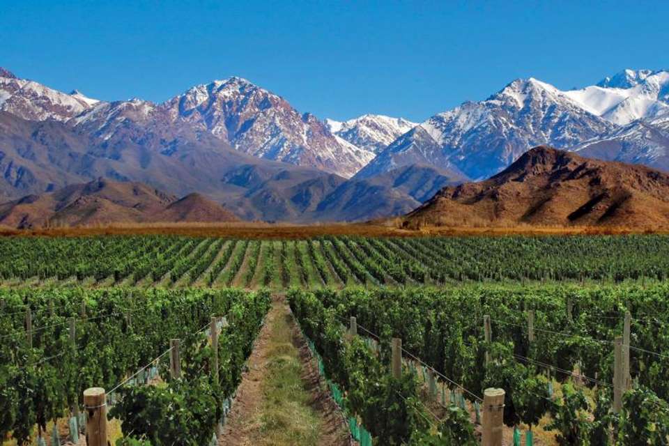 5-Day Mendoza Luxury Tour - Tangol Tours - Argentina - Image 5