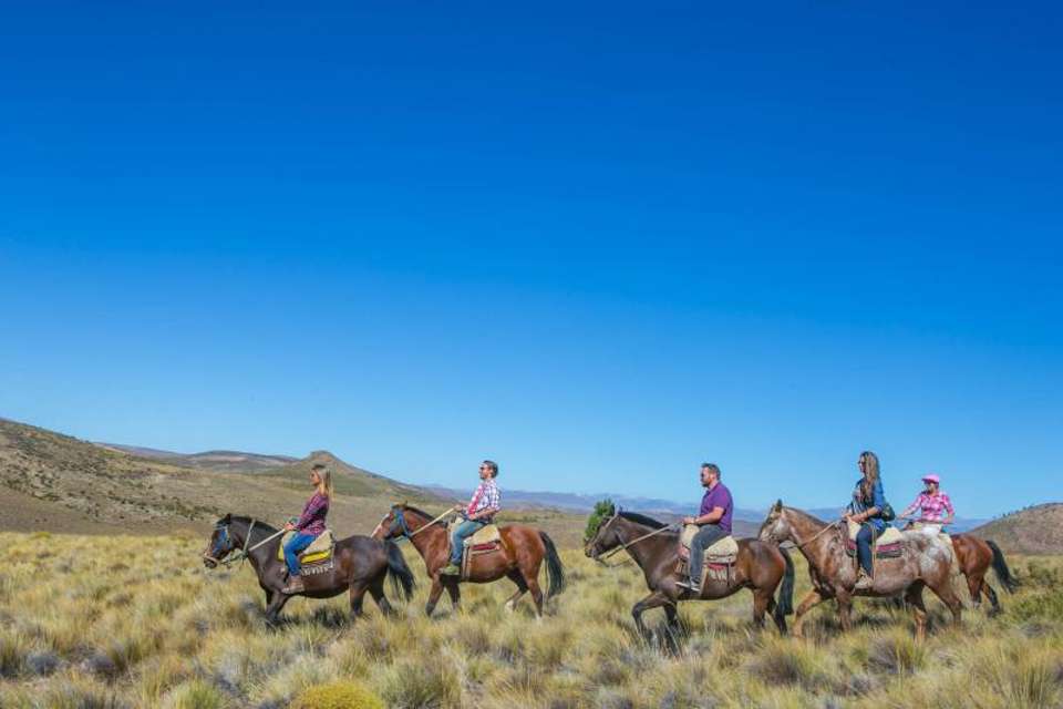 5-Day Nahual Huapi Lake Adventure Tour From Bariloche - undefined - Image 7