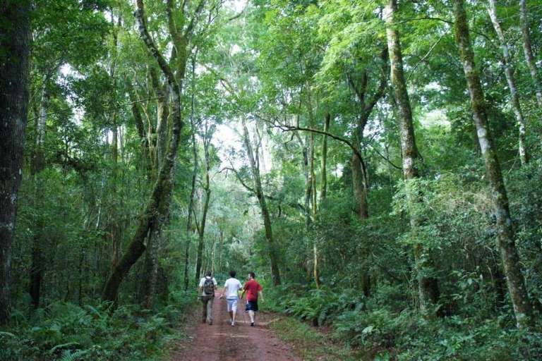 5-Day Puerto Iguazu Adventure Tour trip - alternative tour available