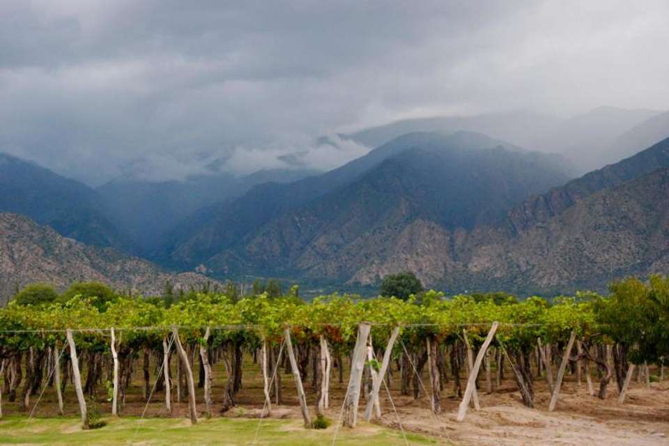 5-Day Salta Luxury Tour - Tangol Tours - Argentina - Image 3