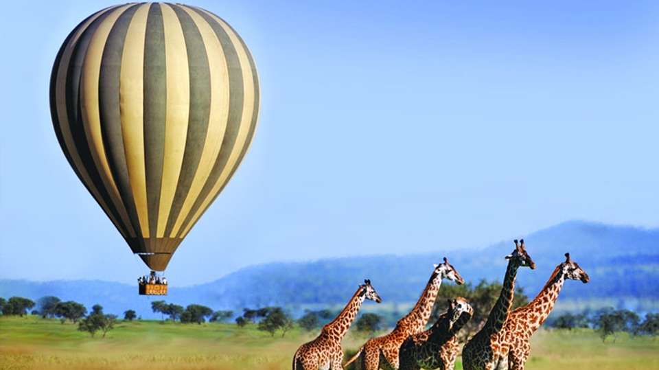 5-Day Tanzania Safari - Dahlia Africa - Tanzania - Image 3
