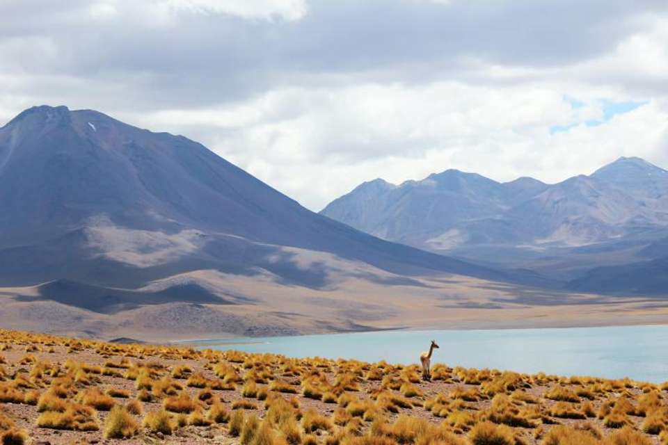 5-Day Trip Best of San Pedro de Atacama - undefined - Image 2