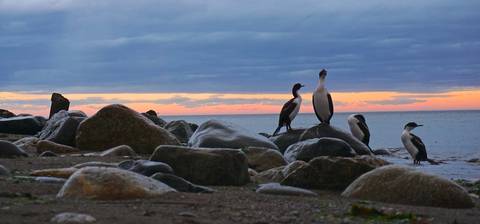 Ushuaia Active And Outdoor Tour: 5-day Ushuaia Penguin Season Tour (from October To March)