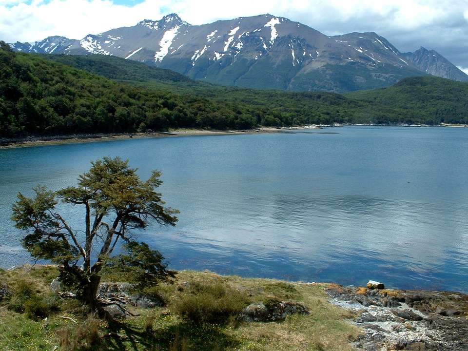 5-day Ushuaia Penguin Season Tour (from October To March), French-speaking Guide - Destination Services - Argentina - Image 13