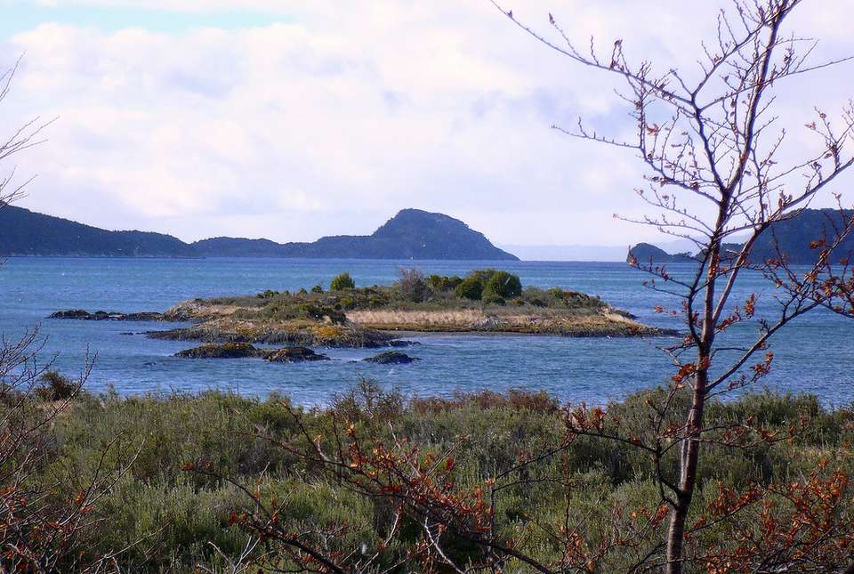 5-day Ushuaia Penguin Season Tour (from October To March), French-speaking Guide - Destination Services - Argentina - Image 11