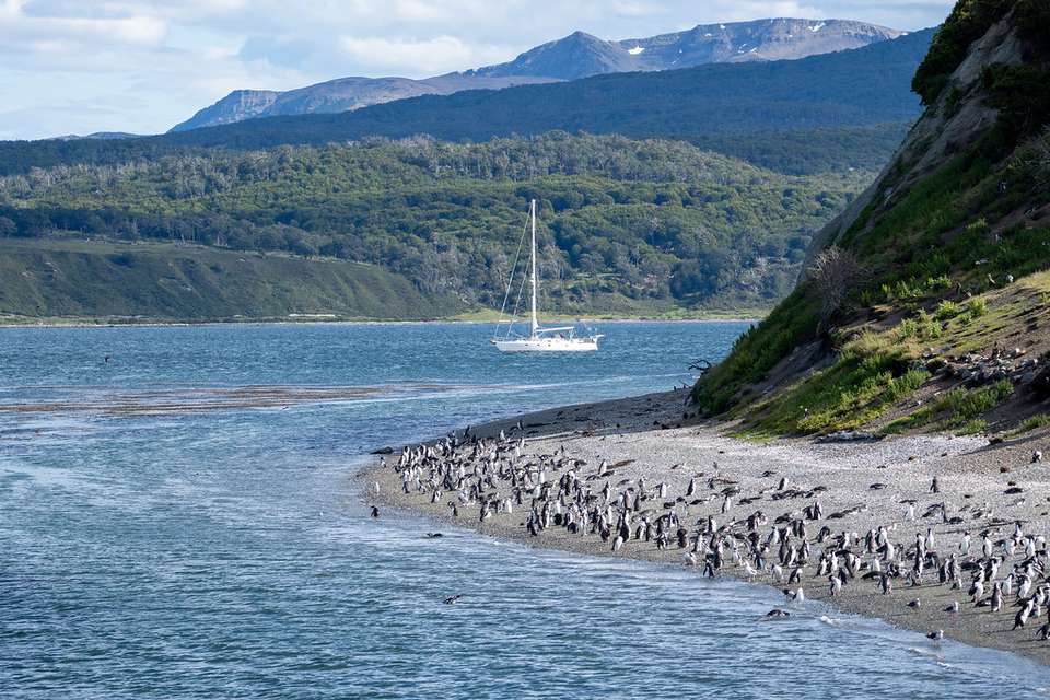 5-day Ushuaia Penguin Season Tour (from October To March), French-speaking Guide - Destination Services - Argentina - Image 10