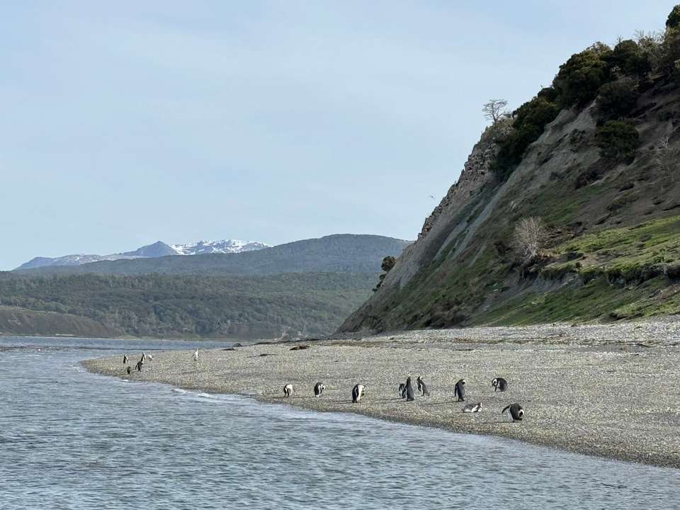 5-day Ushuaia Penguin Season Tour (from October To March), French Or German-speaking Guide - Destination Services - Argentina - Image 17